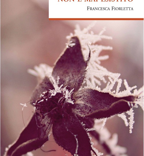 Borges non è mai esistito – Francesca Fiorletta