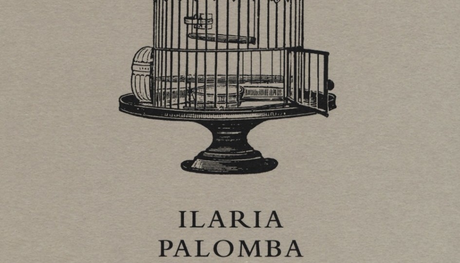 Disturbi di luminosità di Ilaria Palomba